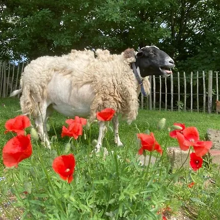 Hiewels Farm Wahlenau